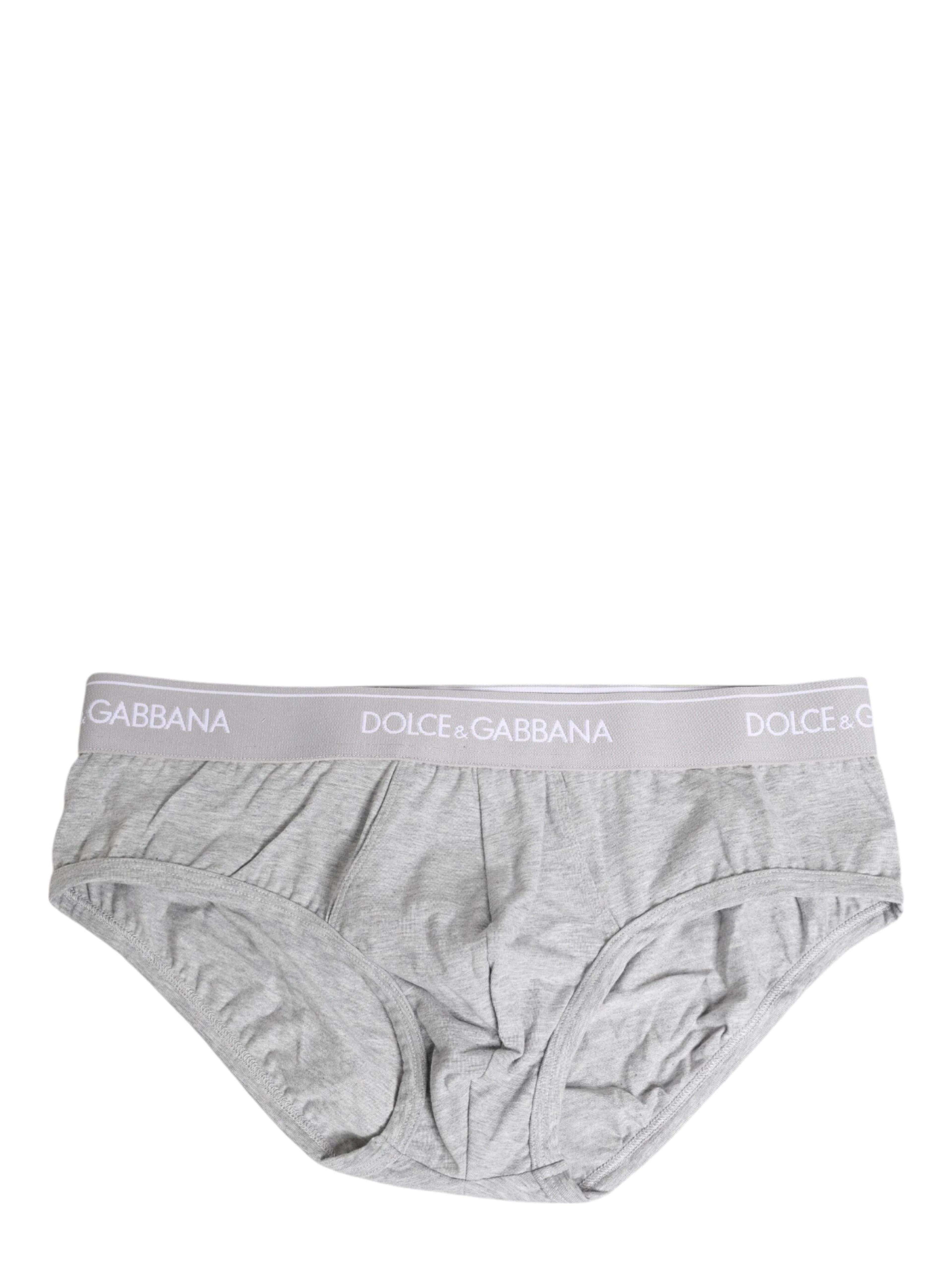 Gray Cotton Stretch Regular Brief Underwear