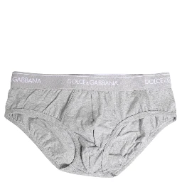 Gray Cotton Stretch Regular Brief Underwear