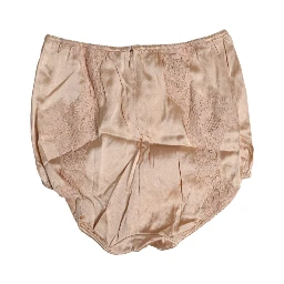 Beige Silk Lace High Waist Bikini Panty Underwear