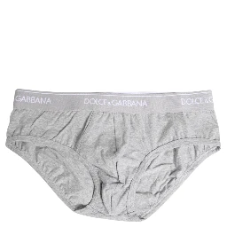 Gray Cotton Stretch Regular Brief Underwear