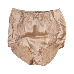 Beige Silk Lace High Waist Bikini Panty Underwear