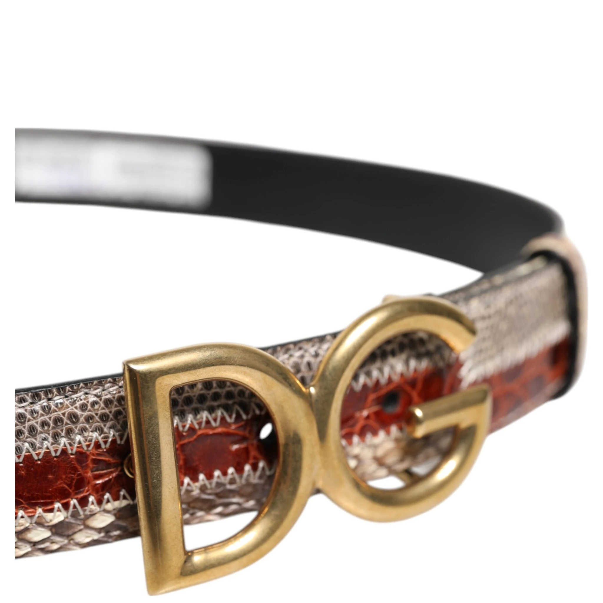 Multicolor Exotic Leather DG Logo Buckle Belt