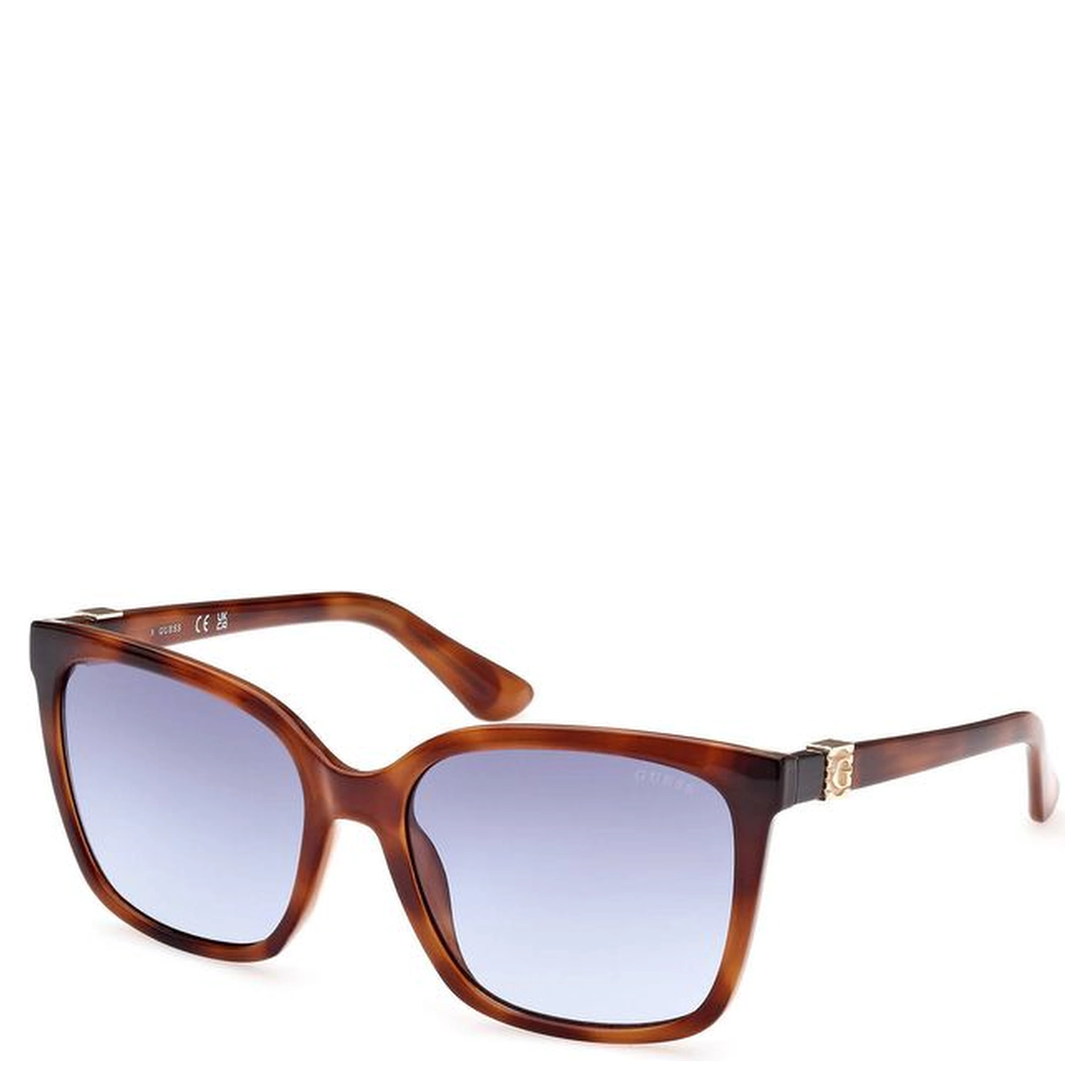 Brown Injected Women Sunglass
