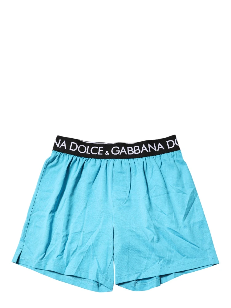 Blue Logo Waist Regular Boxer Shorts Underwear alternative