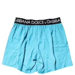 Blue Logo Waist Regular Boxer Shorts Underwear