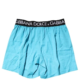 Blue Logo Waist Regular Boxer Shorts Underwear