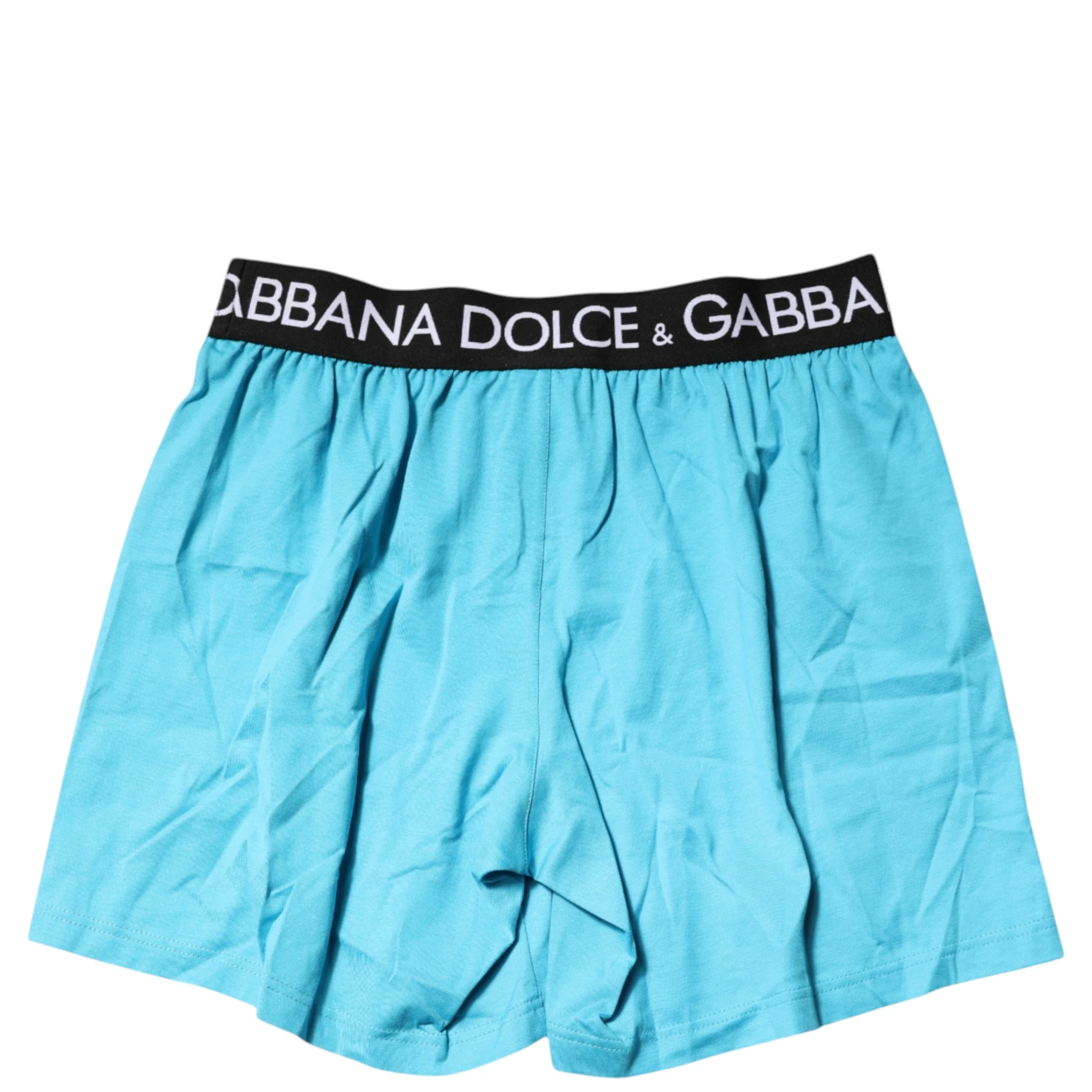 Blue Logo Waist Regular Boxer Shorts Underwear