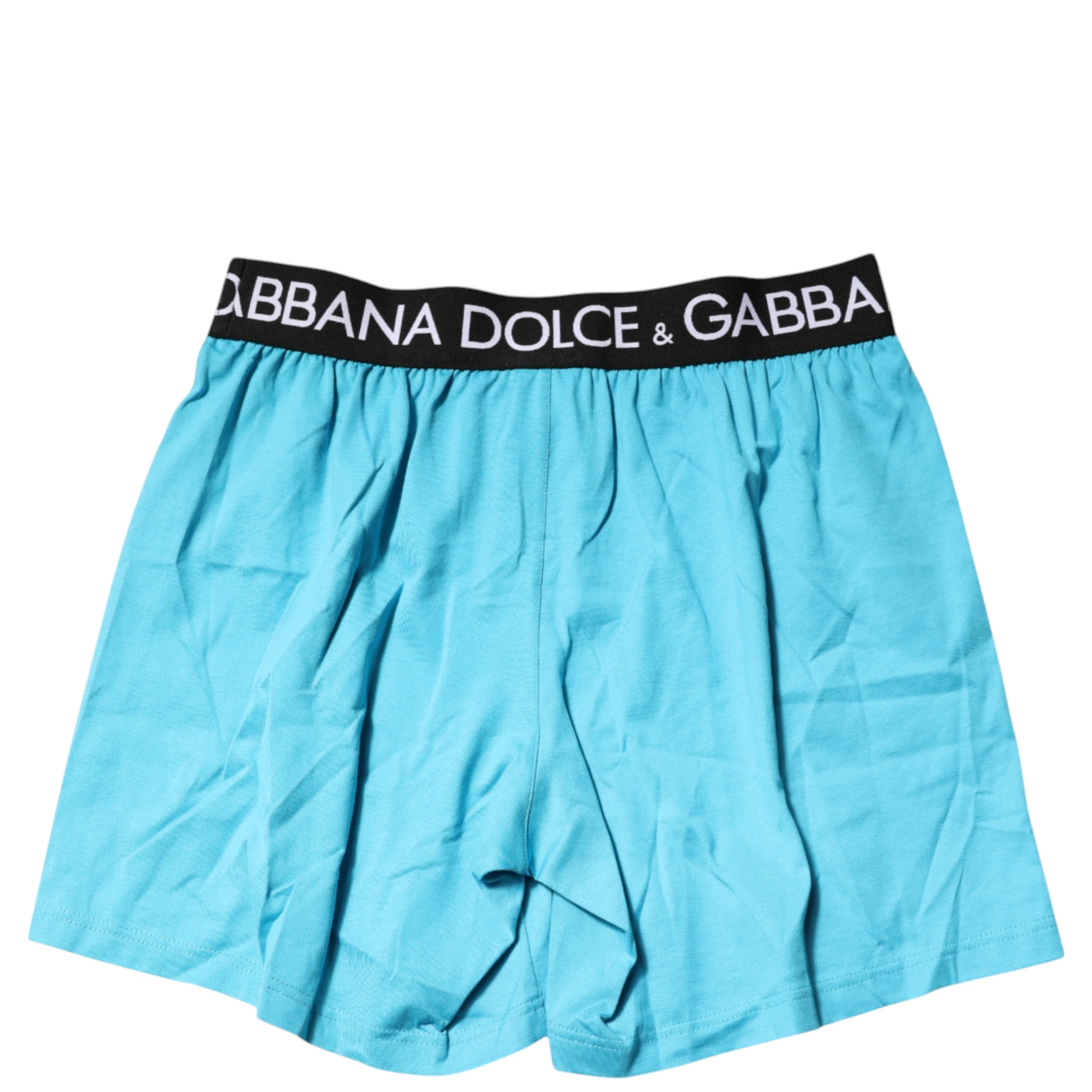 Blue Logo Waist Regular Boxer Shorts Underwear