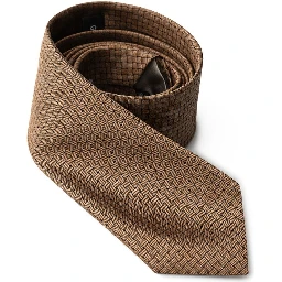 Bicolor Silk Tie