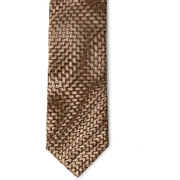Bicolor Silk Tie