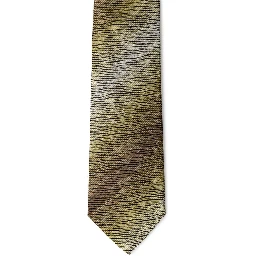 Multicolor Silk Tie