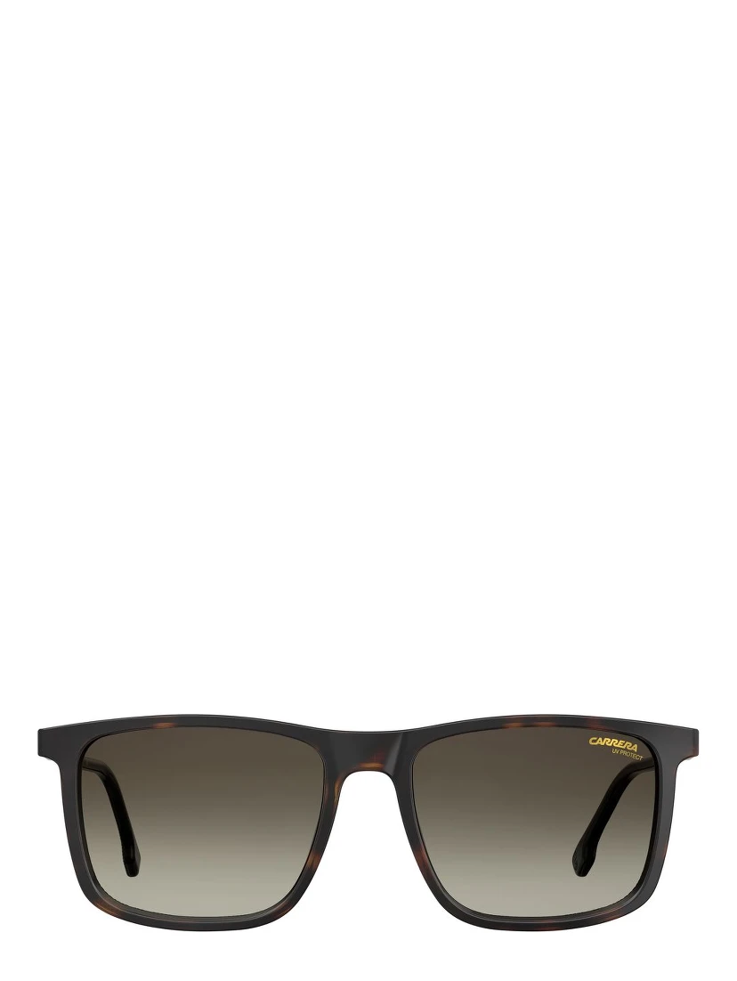 Brown Injected Sunglasses
