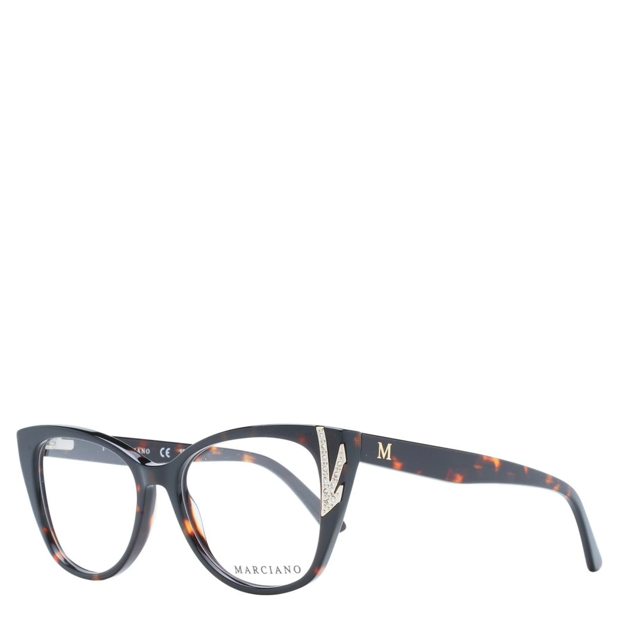 Brown Plastic Glasses (Frames)