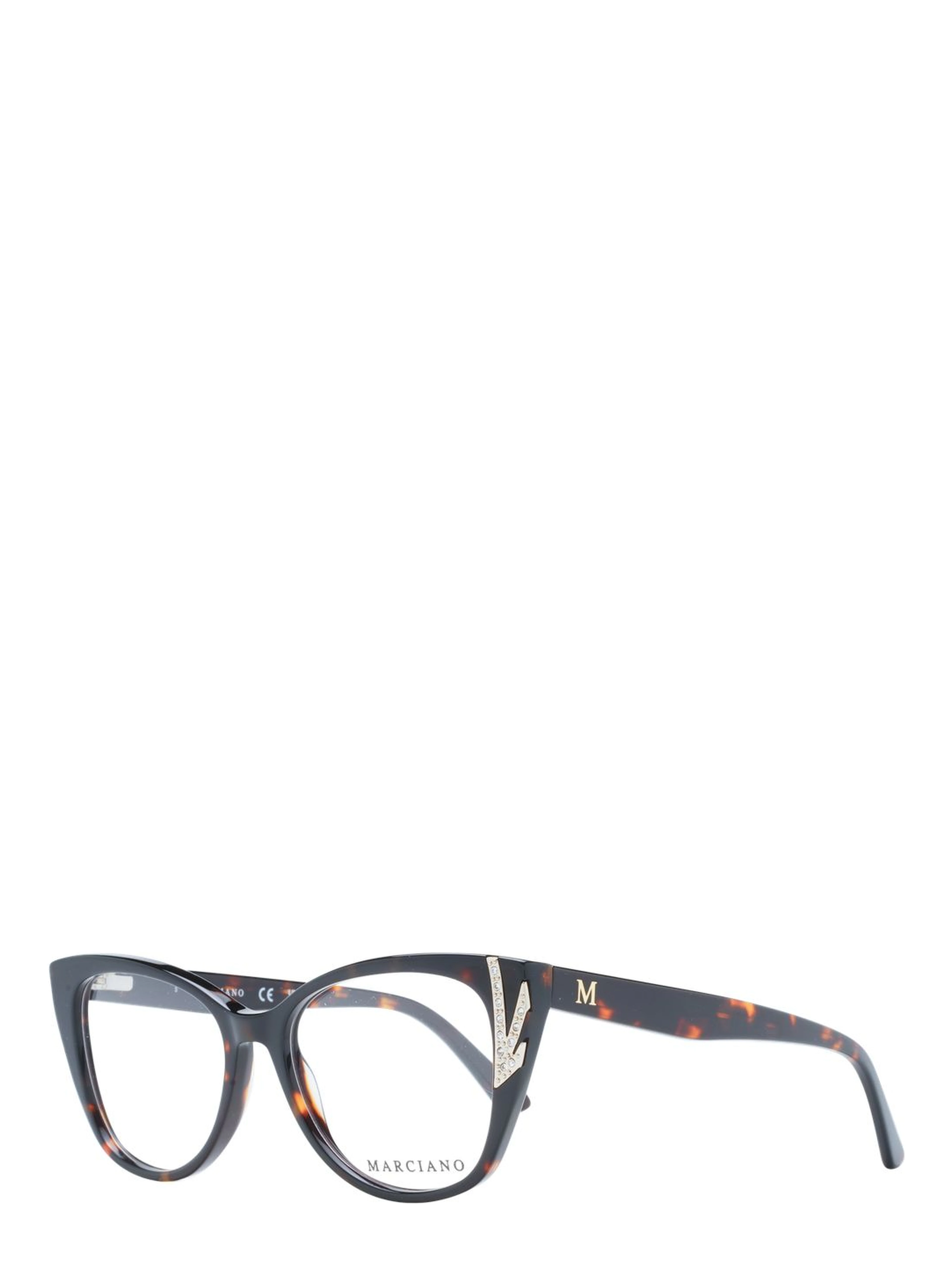 Brown Plastic Glasses (Frames)