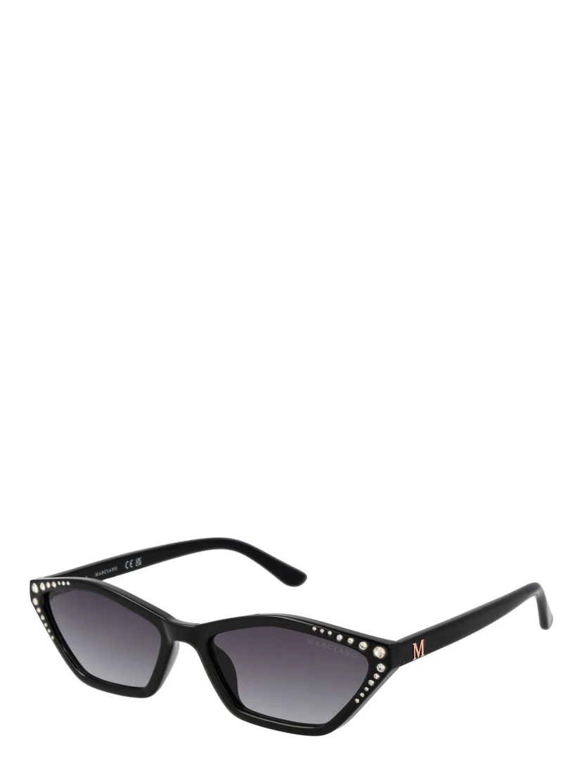 Black Plastic Sunglasses