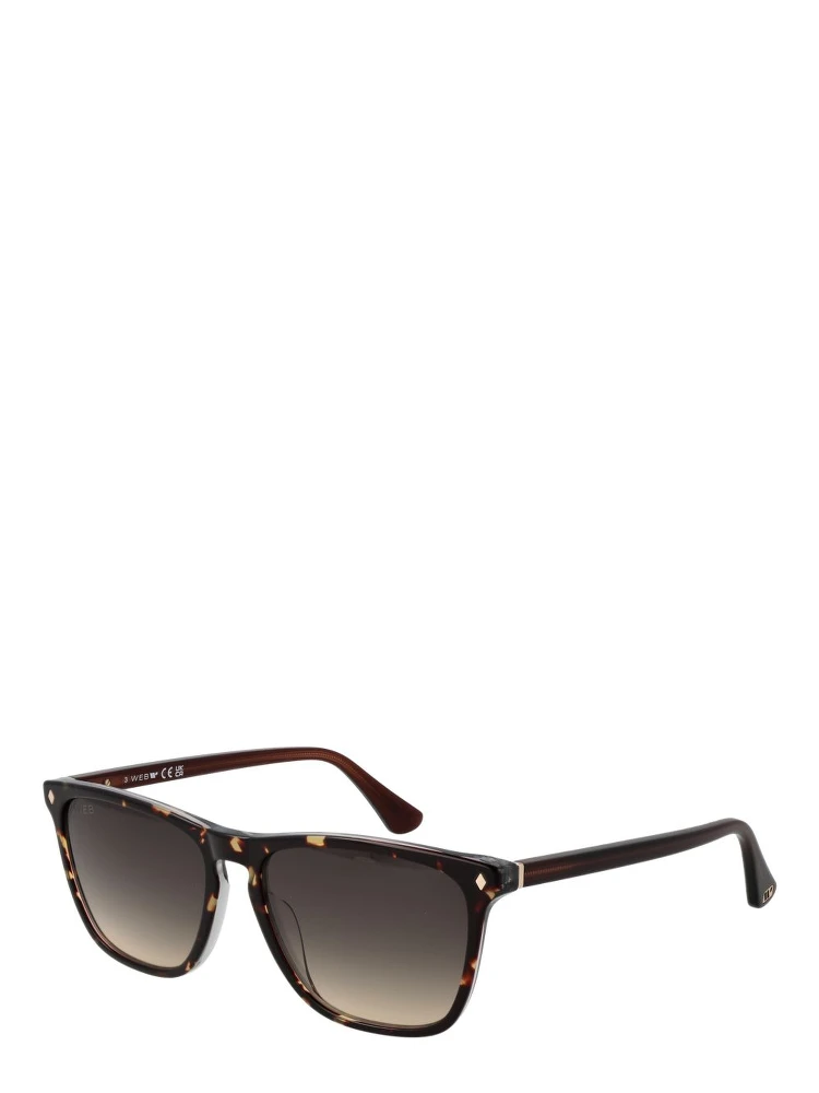 Brown Acetate Sunglasses