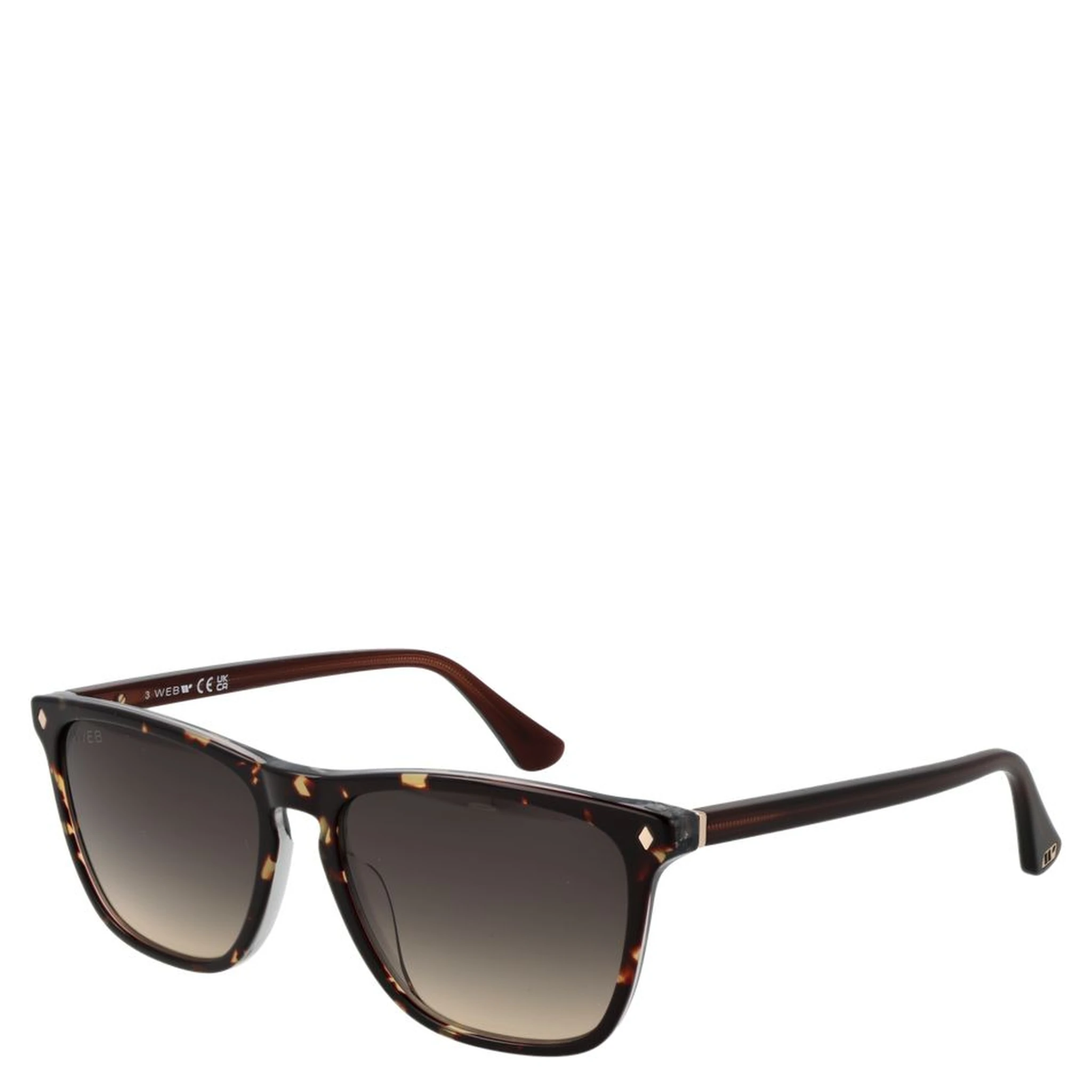 Brown Acetate Sunglasses