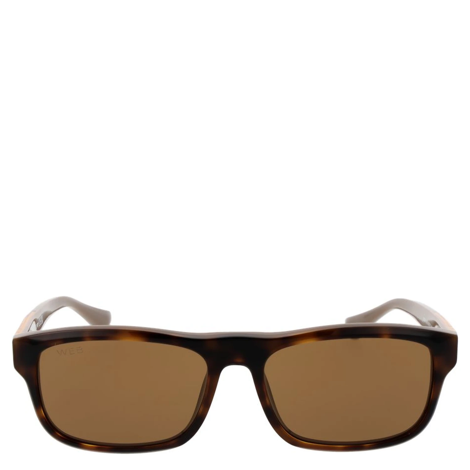 Brown Acetate Sunglasses