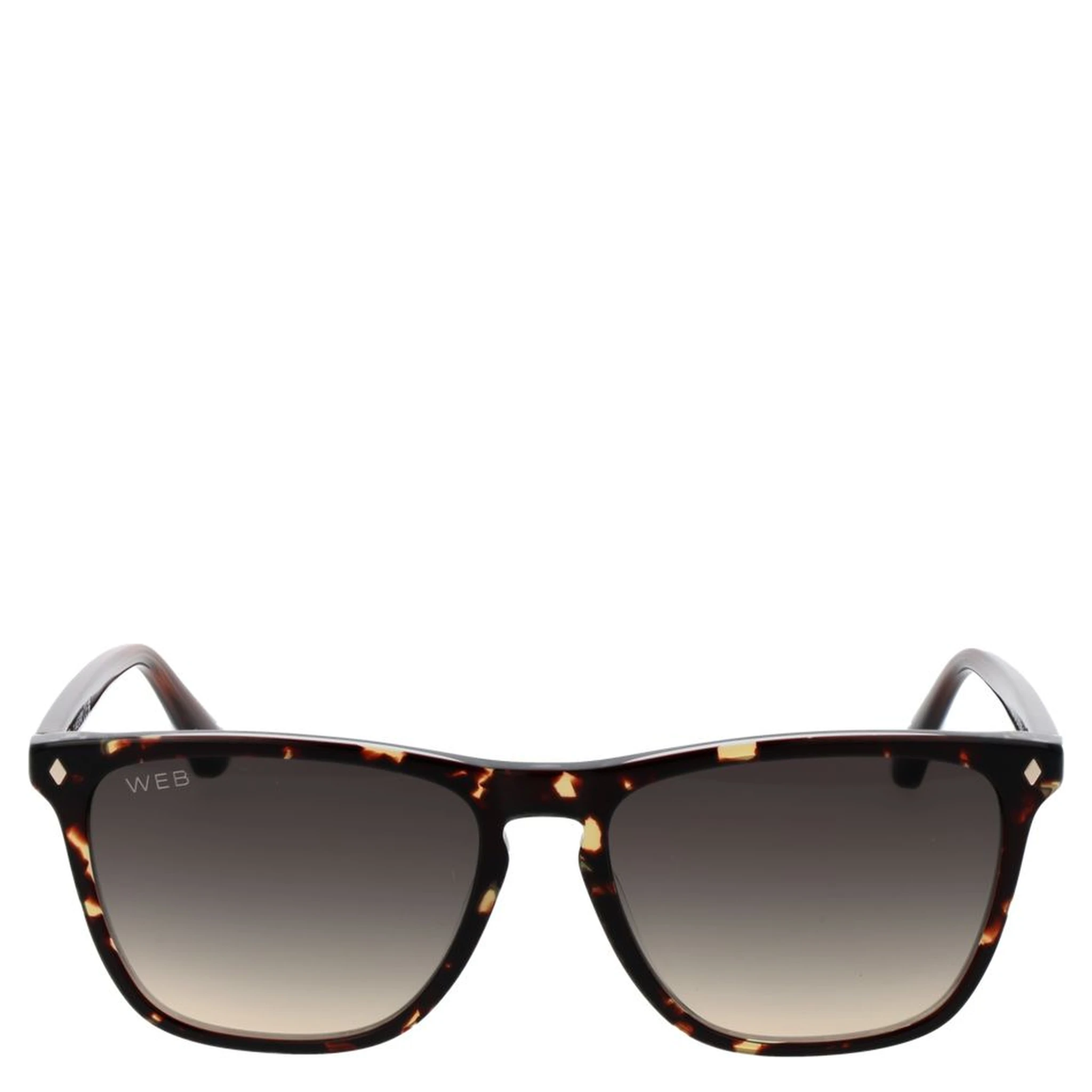 Brown Acetate Sunglasses