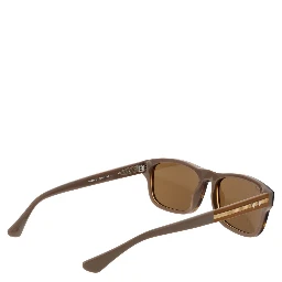 Brown Acetate Sunglasses