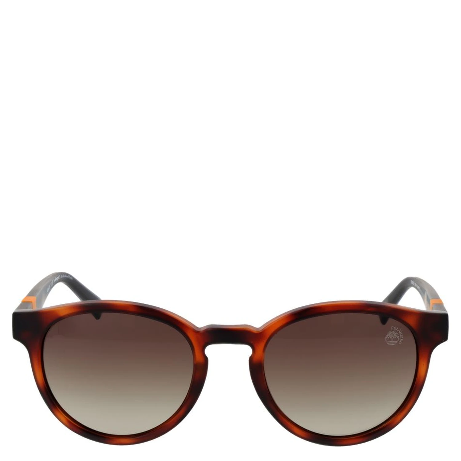 Brown Plastic Sunglasses