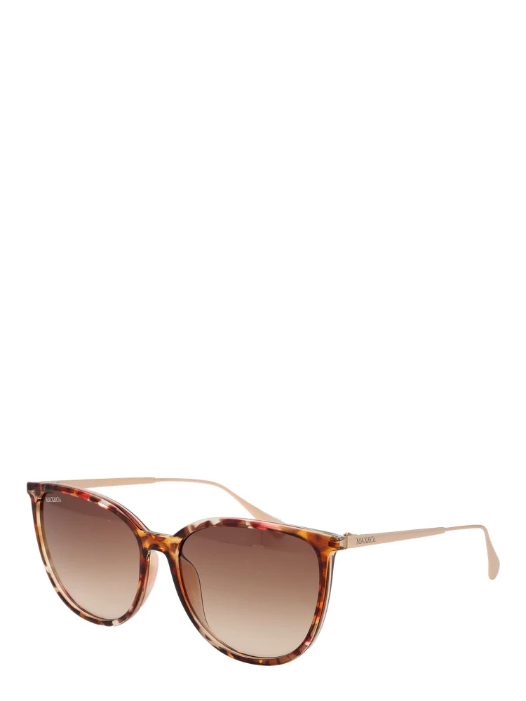 Brown Plastic Sunglasses
