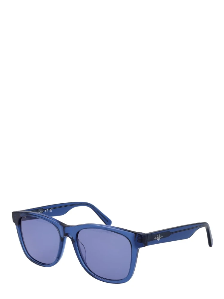 Blue Acetate Sunglasses