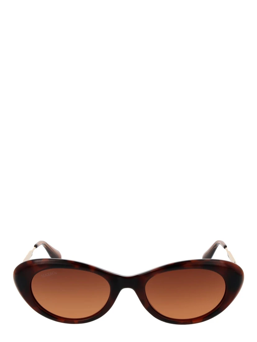 Brown Stainless Steel Sunglasses