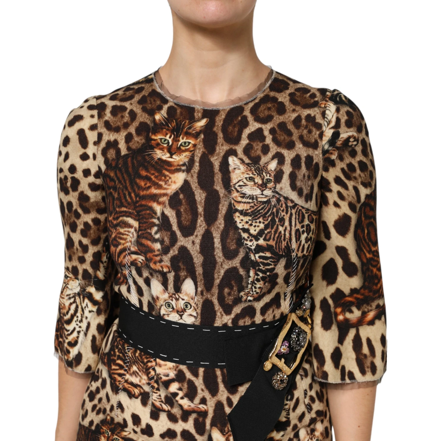 Brown Leopard Print Belted A-line Midi Dress