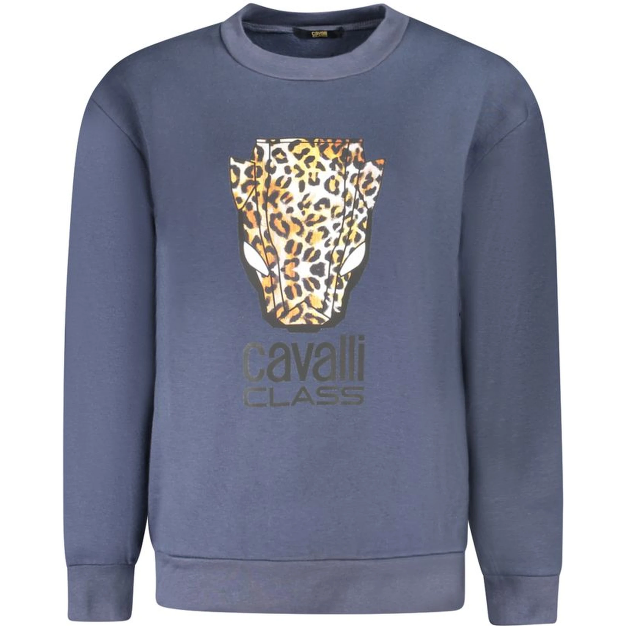 Blue Cotton Women Sweater