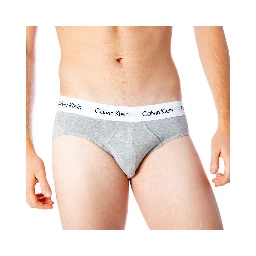 Gray Cotton Briefs