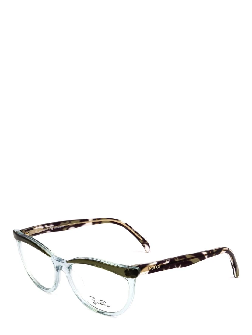 Green Plastic Glasses (Frames)