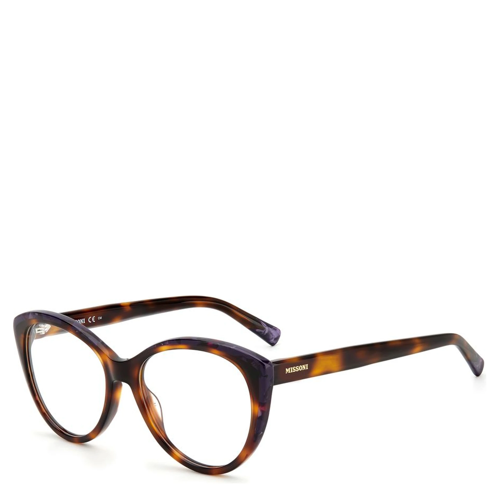 Bicolor Acetate Glasses (Frames)