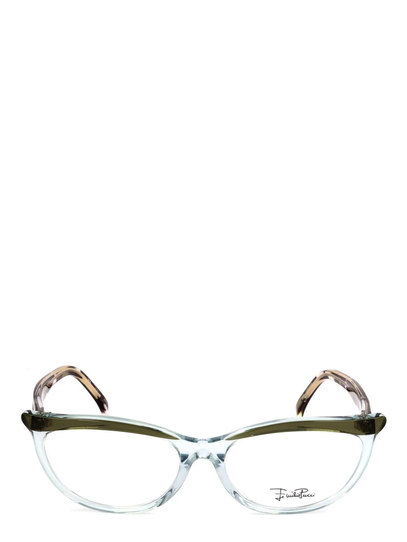 Green Plastic Glasses (Frames)