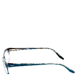 Blue Plastic Glasses (Frames)