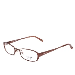Brown Metal Glasses (Frames)