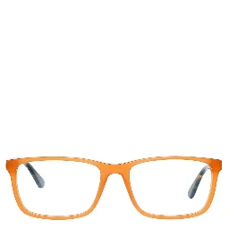 Brown Plastic Glasses (Frames)