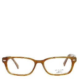 Brown Plastic Glasses (Frames)