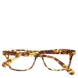 Brown Plastic Glasses (Frames)