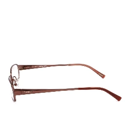Brown Metal Glasses (Frames)