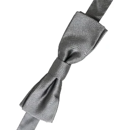 Gray Satin Silk Adjustable Neck Men Papillon Bow Tie
