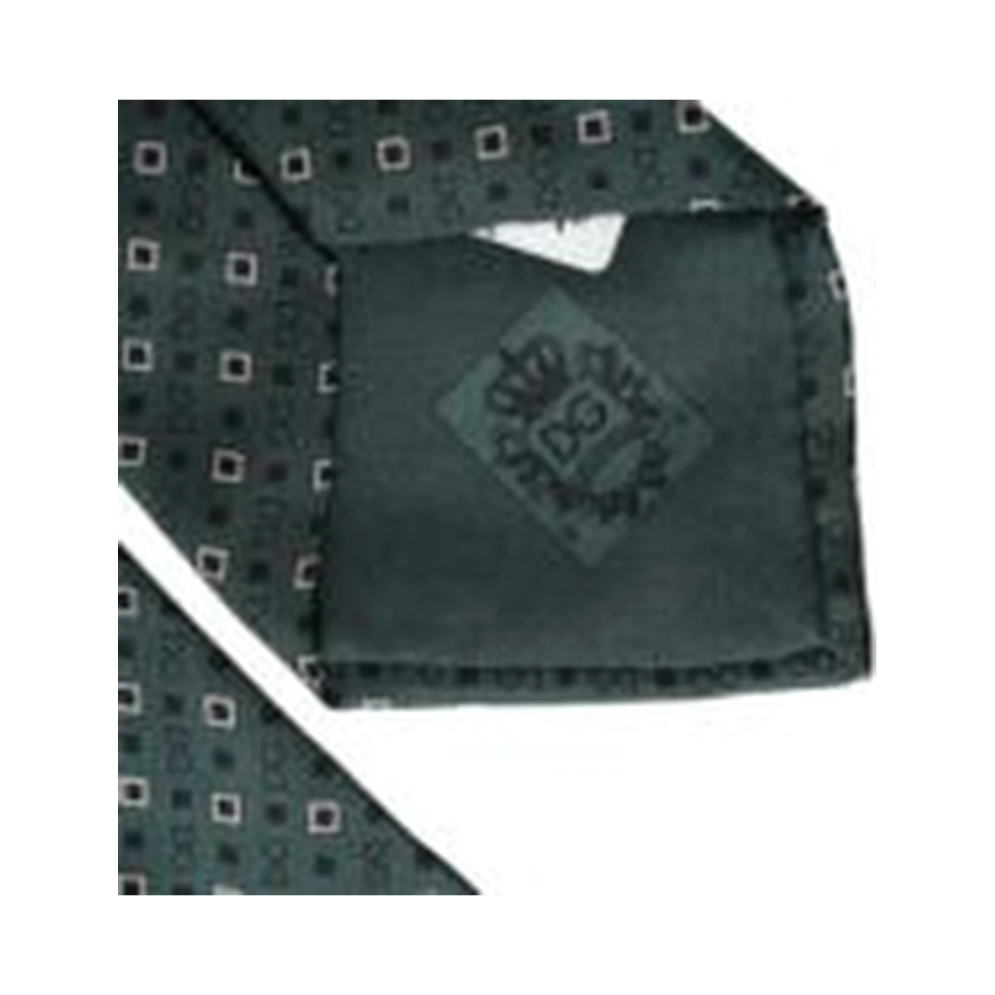 Green Silk Branded Logo Adjustable Men Tie