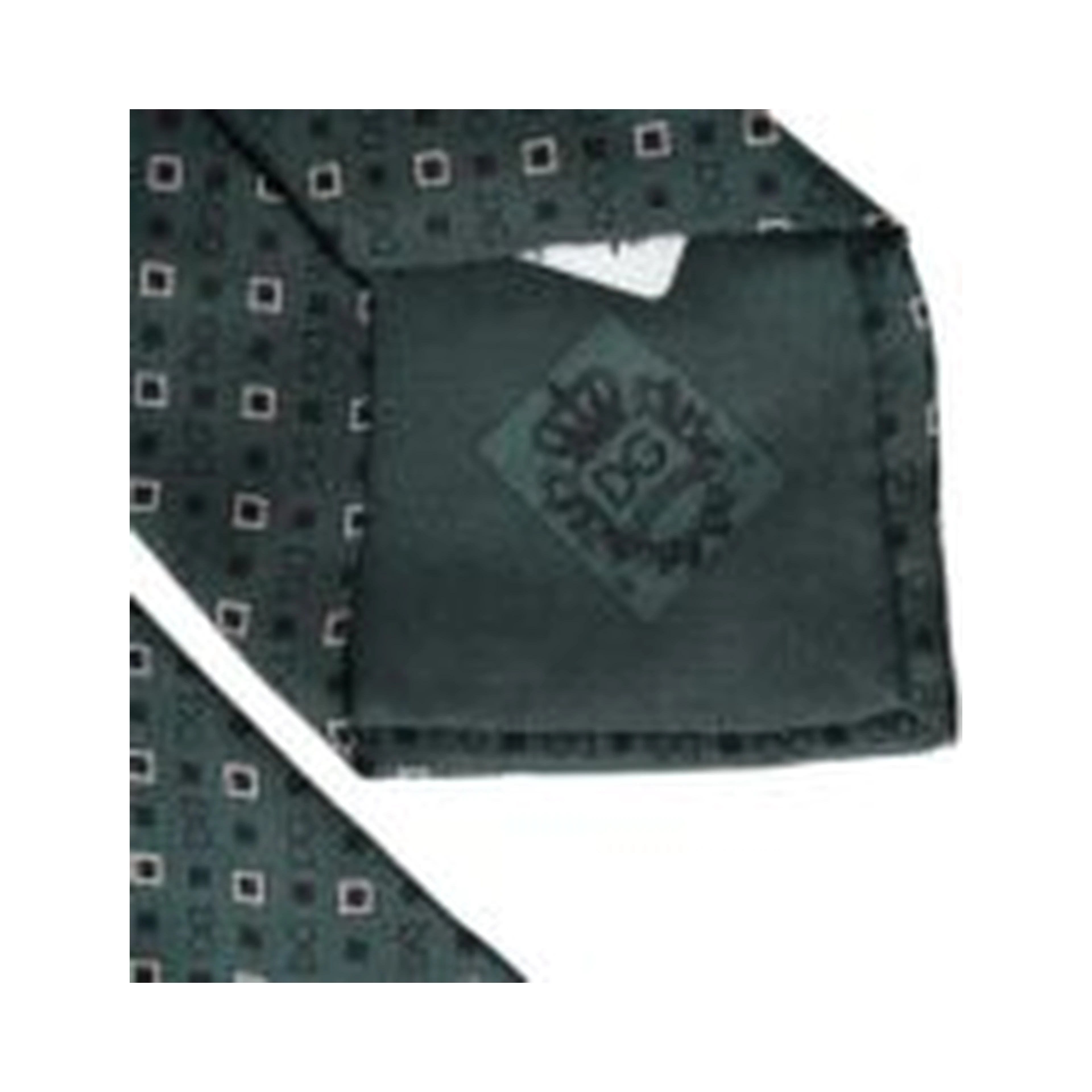 Green Silk Branded Logo Adjustable Men Tie