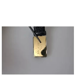 Black Exotic Leather Gold Metal Buckle Belt