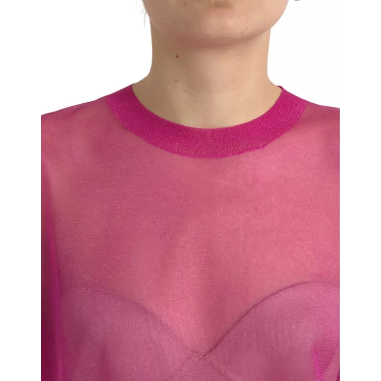 Pink Transparent Crewneck Long Sleeves Top