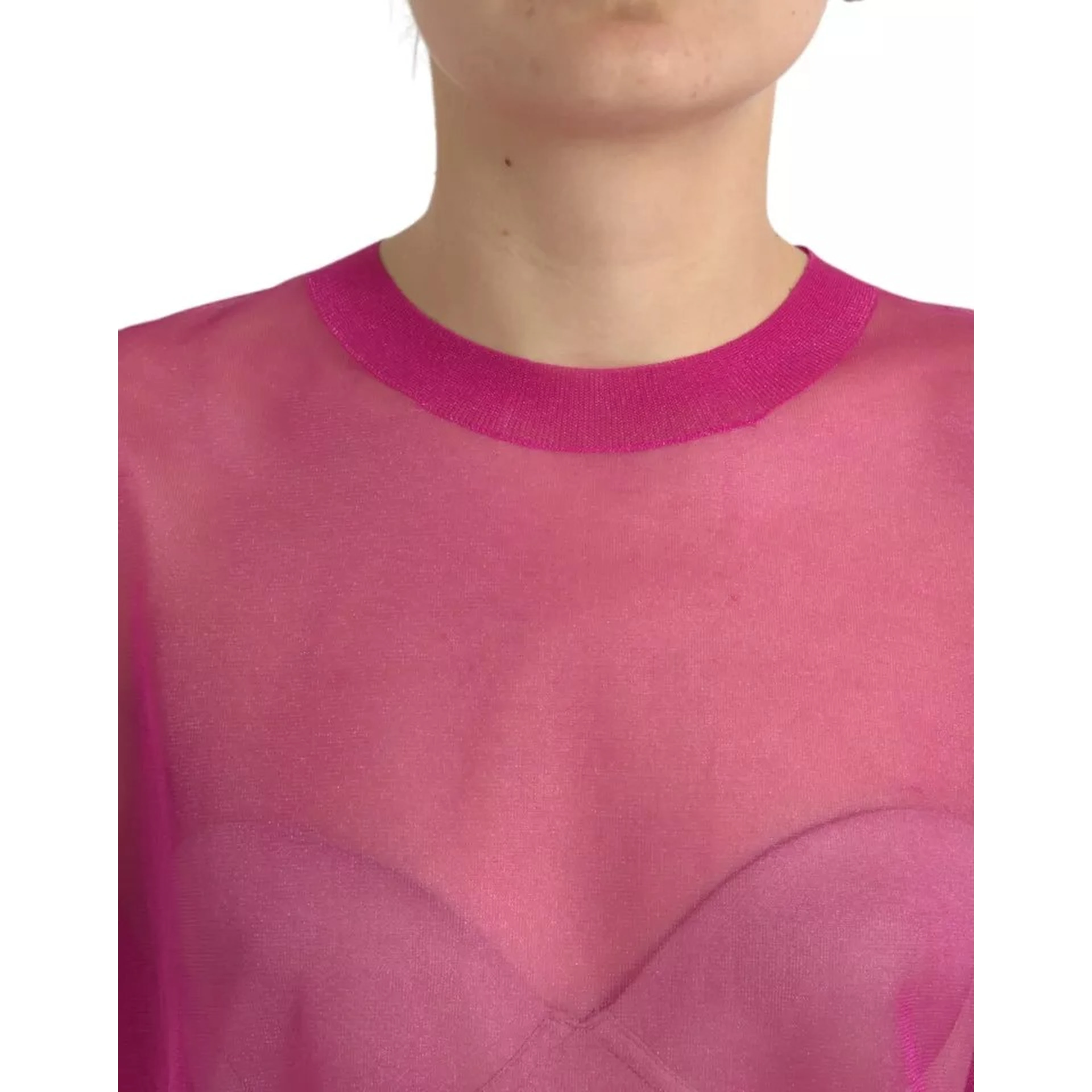 Pink Transparent Crewneck Long Sleeves Top