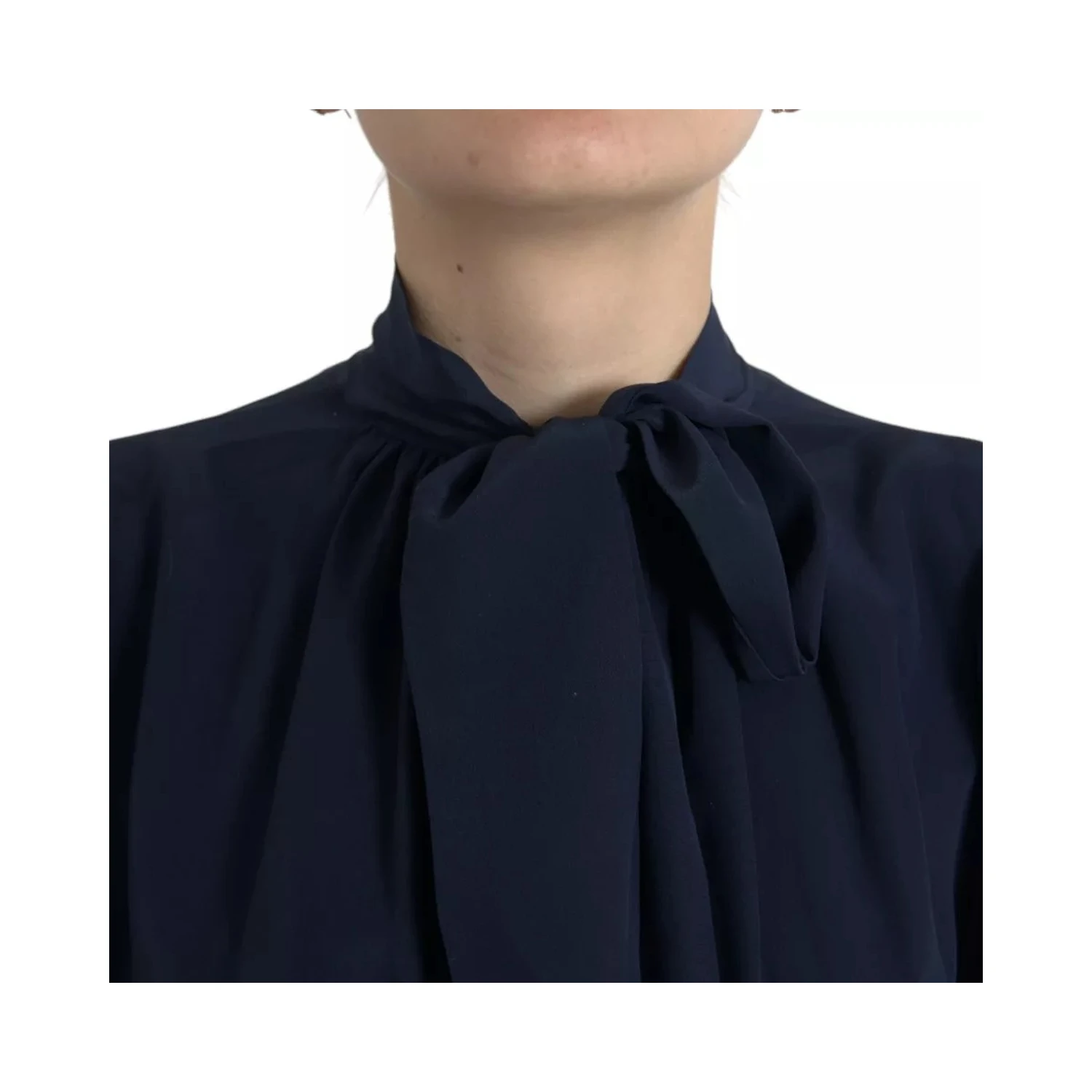 Blue Long Sleeves Ascot Collar Blouse Top