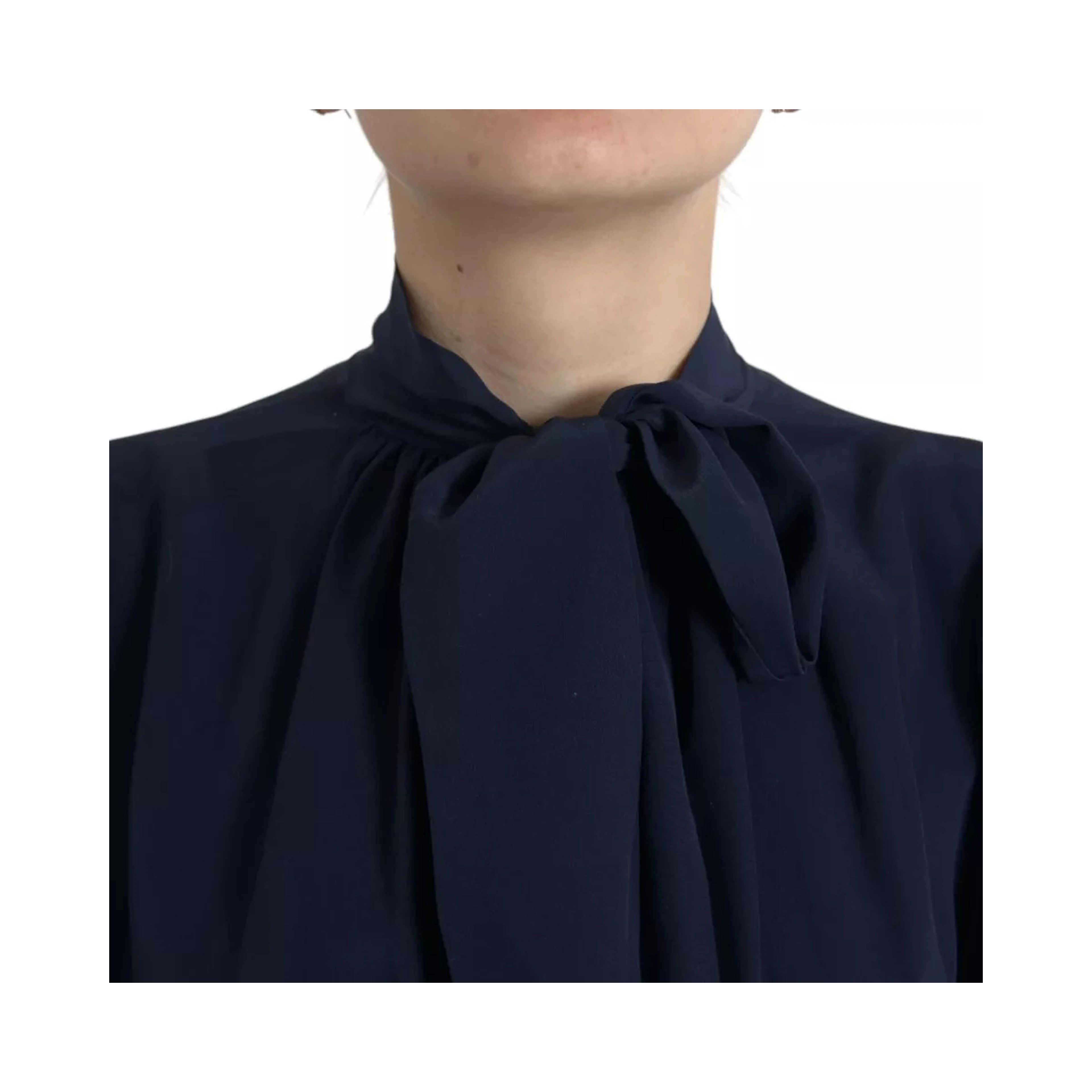 Blue Long Sleeves Ascot Collar Blouse Top