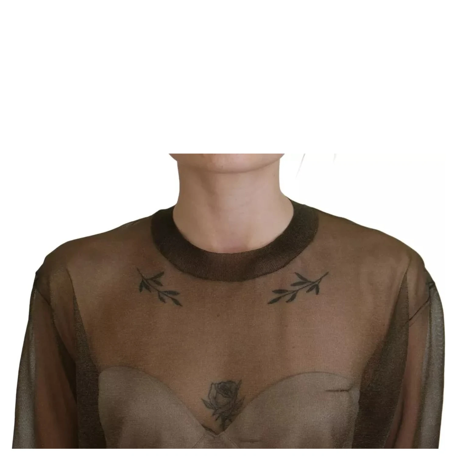Black Transparent Crewneck Long Sleeves Top