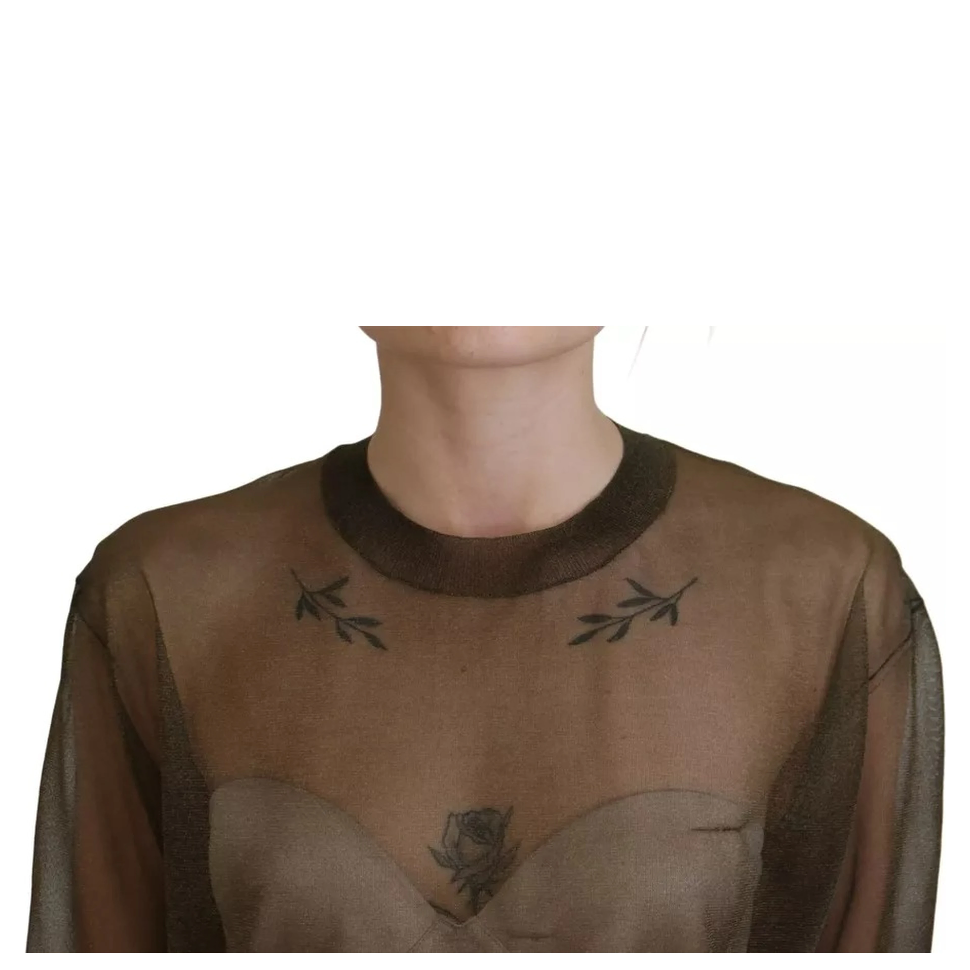 Black Transparent Crewneck Long Sleeves Top